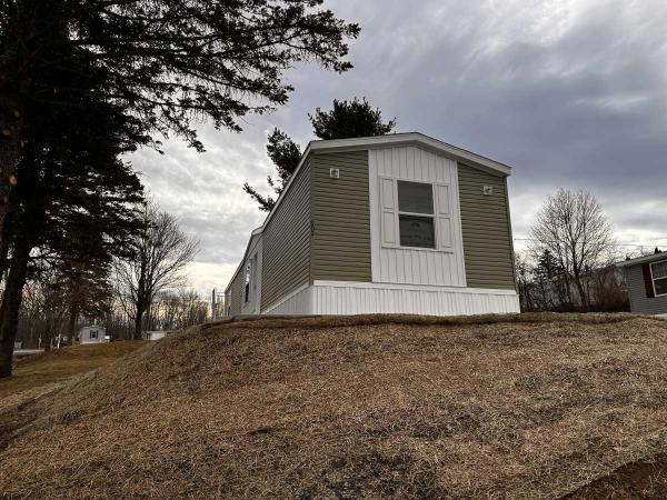 2025 Skyline Mobile Home