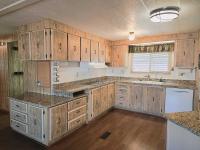 1980 SKYLINE BUDDY Mobile Home