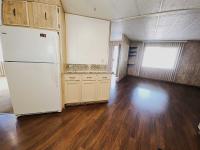 1980 SKYLINE BUDDY Mobile Home
