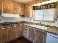 1980 SKYLINE BUDDY Mobile Home