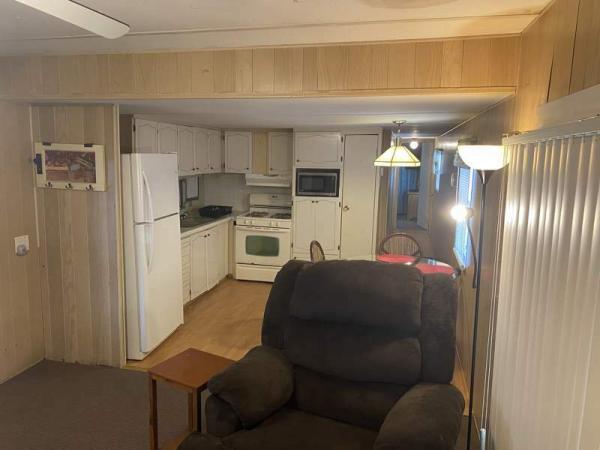 1969 Skyline Manufactured Home