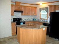 2018 Skyline Willow 460 Mobile Home