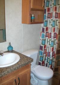 2018 Skyline Willow 460 Mobile Home