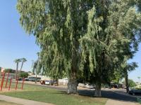 2014 Champion Palo Verde Mobile Home