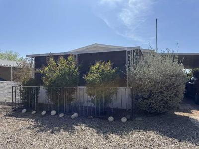 Photo 4 of 7 of home located at 3950 E. Hawser St. #24 Tucson, AZ 85739