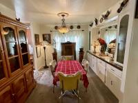 1975 Skyline Mobile Home