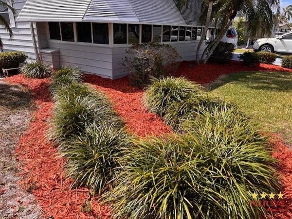 1991 PALM   Home