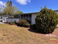 1991 PALM   Home