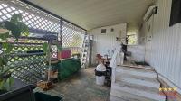 1983 PALM   Home