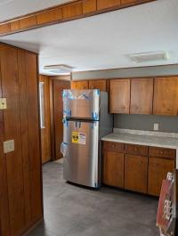 1971 Vindale Mobile Home