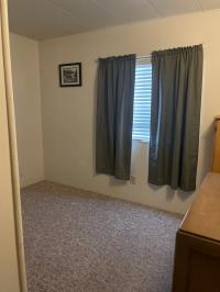 1984 Skyline Mobile Home
