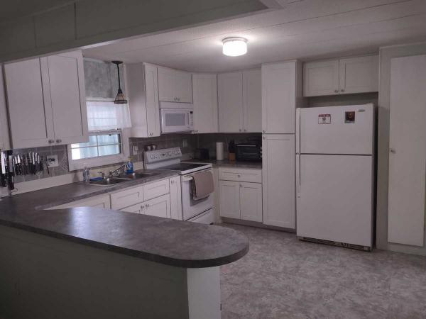1969 Palm Harbor Mobile Home