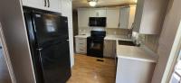 1975 Mobile Home