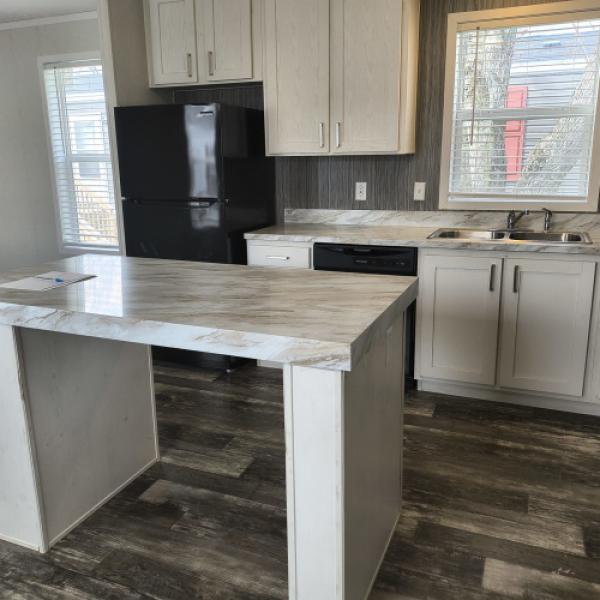 2022 Pulse 6616-771  Home