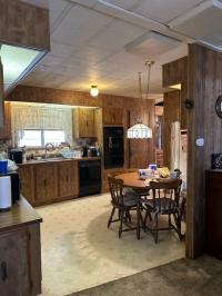 1979 Skyline Mobile Home