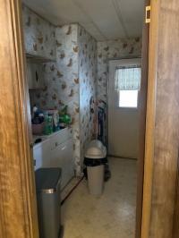 1979 Skyline Mobile Home