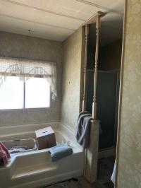 1979 Skyline Mobile Home
