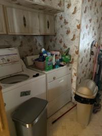 1979 Skyline Mobile Home