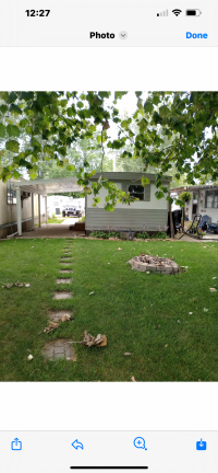 Mobile Home