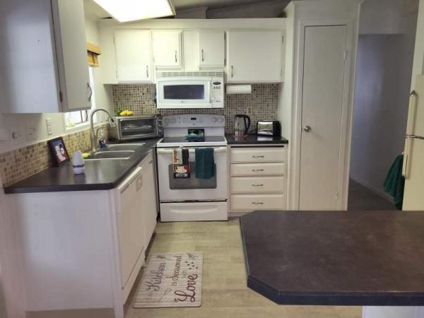 1979 Skyline Manufactured Home