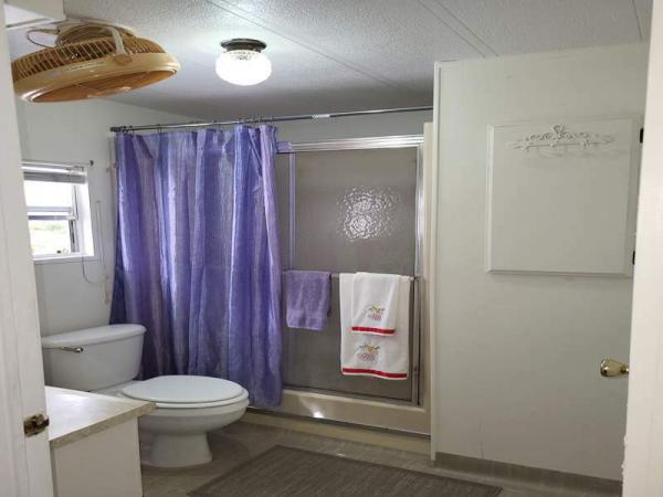 1979 Skyline Manufactured Home