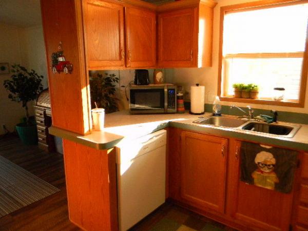 1996 Patriot Manufactured Home