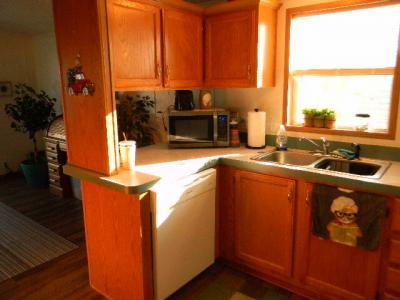Photo 3 of 24 of home located at 948 Savannah River Dr Adrian, MI 49221