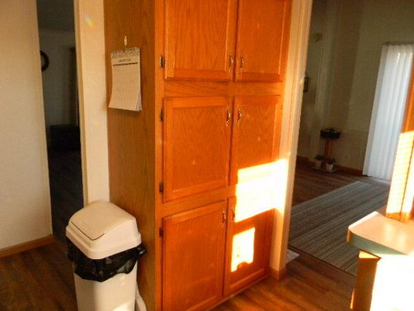 1996 Patriot Manufactured Home