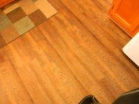 1996 Patriot Manufactured Home