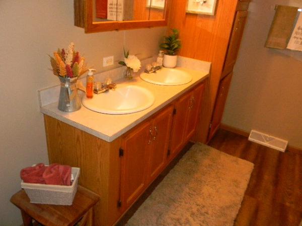 1996 Patriot Manufactured Home