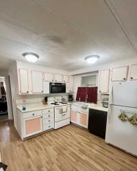 1979 Mobile Home