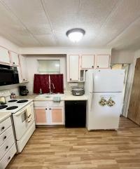 1979 Mobile Home