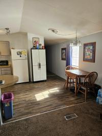 2000 Skyline Mobile Home
