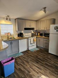 2000 Skyline Mobile Home