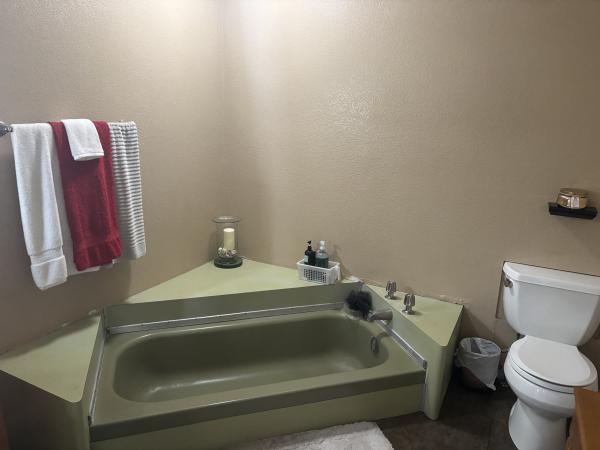 1971 Mobile Home
