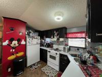 1995 Skyline Mobile Home