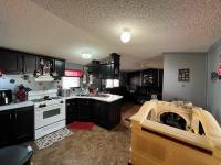 1995 Skyline Mobile Home