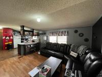 1995 Skyline Mobile Home