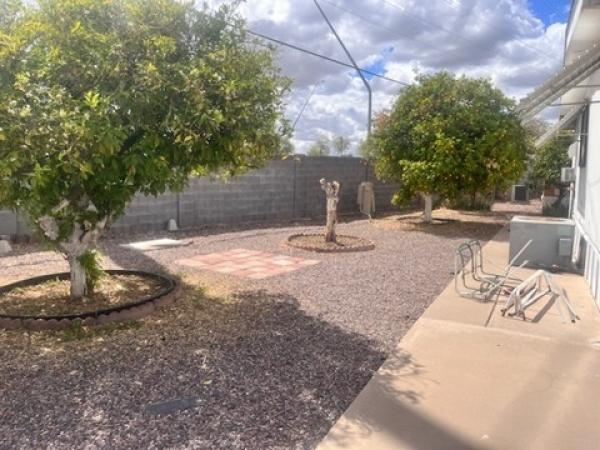 1977 Skyline Manufactured Home