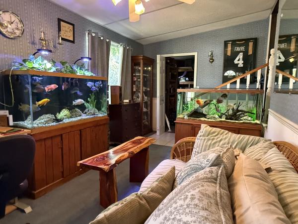 1973 American Homestar HS Mobile Home