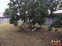 2006 Palm Harbor  Home
