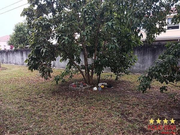 2006 Palm Harbor  Home
