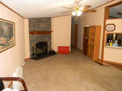 Photo 5 of 32 of home located at 246 Grand River Dr Adrian, MI 49221