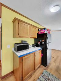 1995 Patriot Manufactured Home