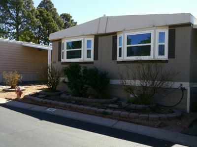 Mobile Home at 7112 Pan American Fwy NE #198 Albuquerque, NM 87109