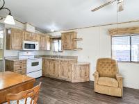 1990 Skyline Mobile Home