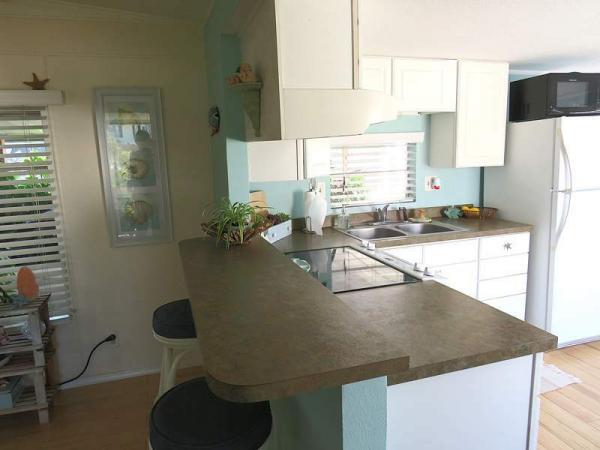 1972 Broadmore Manufactured Home