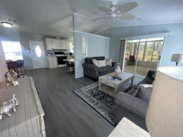 1991 Skyline Mobile Home