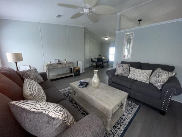 1991 Skyline Mobile Home