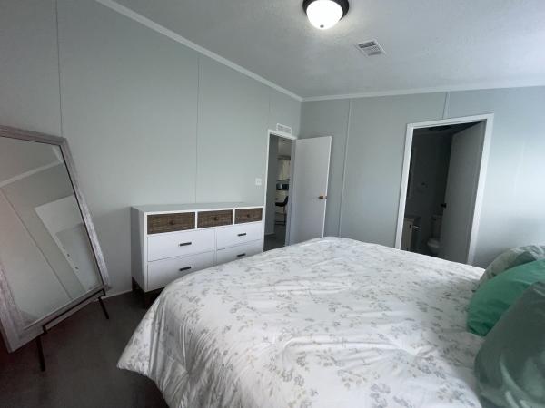 1991 Skyline Mobile Home